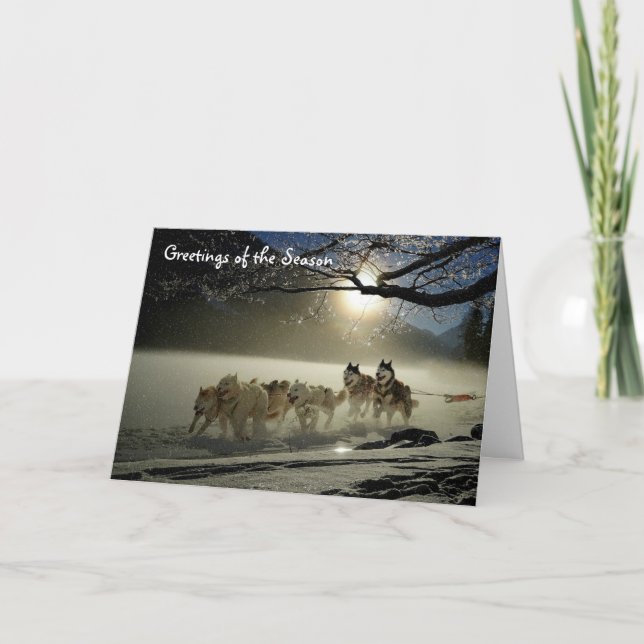 Huskieses Schlitten Hunde Feriengrüße Karte Alaska (Vorderseite)