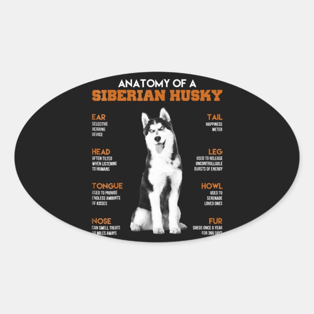 Husky | Anatomie sibirischer Hunde Ovaler Aufkleber (Vorderseite)
