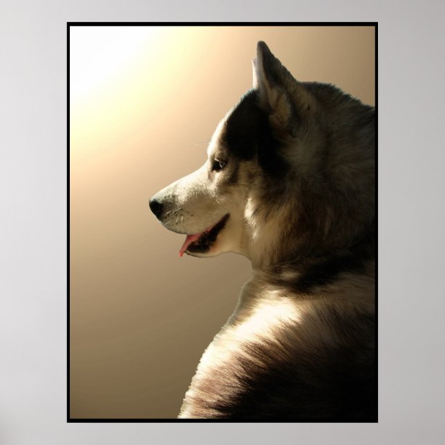 Husky Art Print Sled Dog Art Poster Husky Cadfts (Devant)