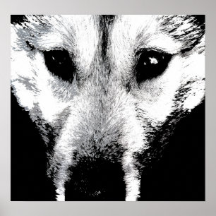 Husky Art Print Sled Dog Art Poster Wolf Pup Cadea
