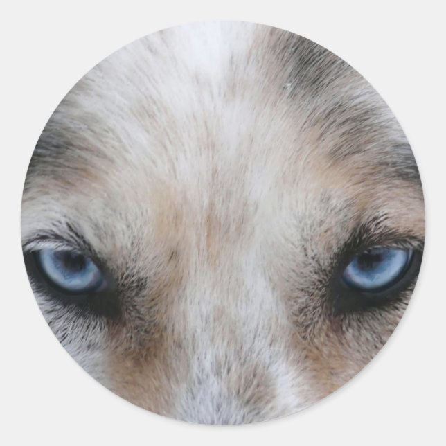 Husky-blaue Augen Runder Aufkleber (Vorderseite)