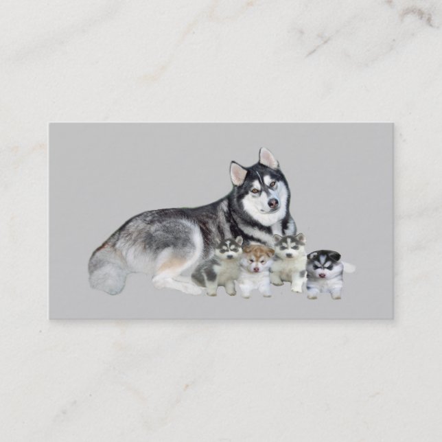 Husky-Brüter-Visitenkarte Visitenkarte (Vorderseite)