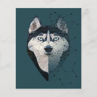 Husky Constellation Leinwand
