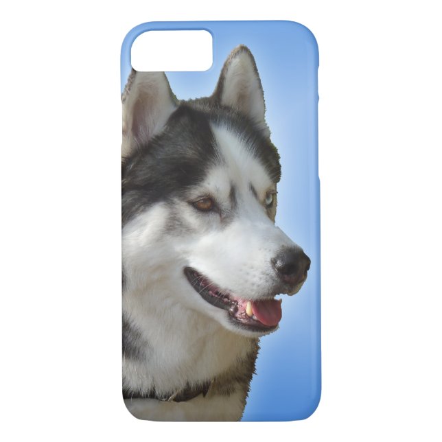Husky coques iphone Husky Malamute  Coques (Dos)