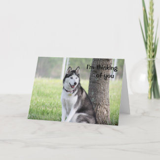 Husky Denken Sie an Ihre Grußkarte Karte