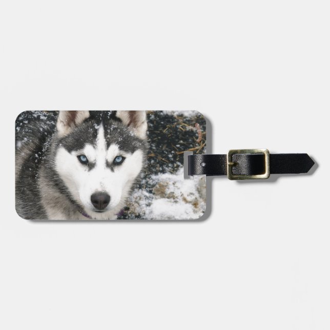 Husky dog gepäckanhänger (Vorderseite horizontal)