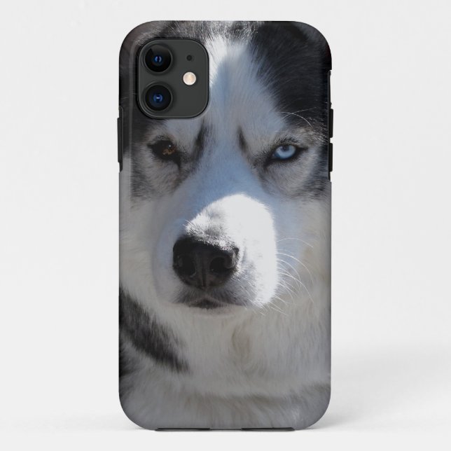 Husky Dog iPhone Fälle Husky Malamute Hüllen (Rückseite)