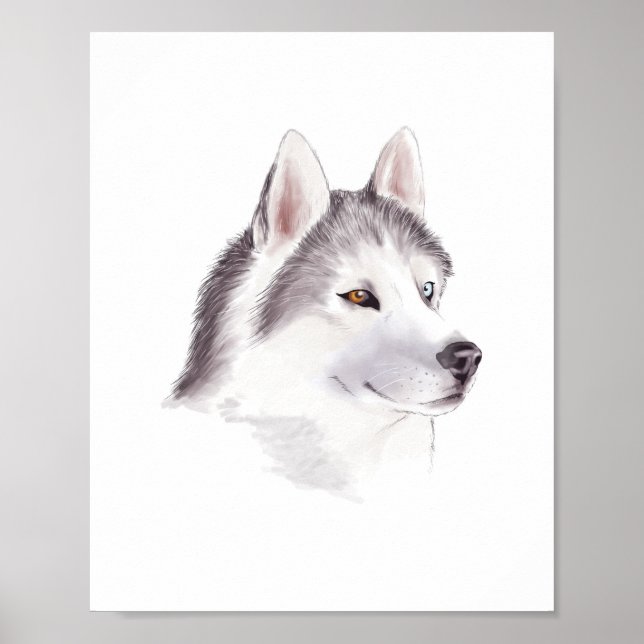 Husky Dog Poster / Tierplakate (Vorne)
