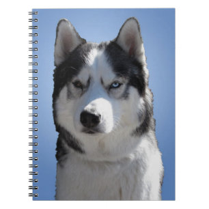 Husky Eye Notebook Siberian Husky Geschenke & Büch Notizblock