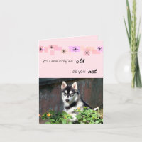 Husky-Geburtstags-Karte