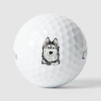 Husky