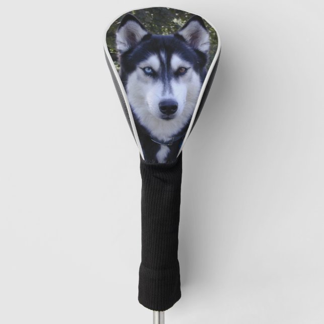 Husky-Golfclub-Abdeckung Golf Headcover (Vorderseite)