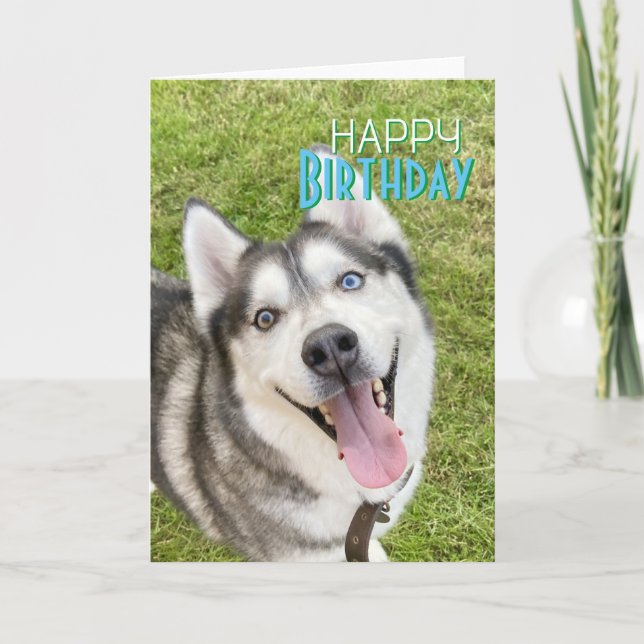 Husky Happy Birthday Card Hund Karte (Vorderseite)