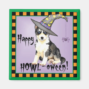Husky Hexch Magnet
