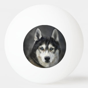 Husky Hund Großer Hund Tier Haustier Tischtennisball
