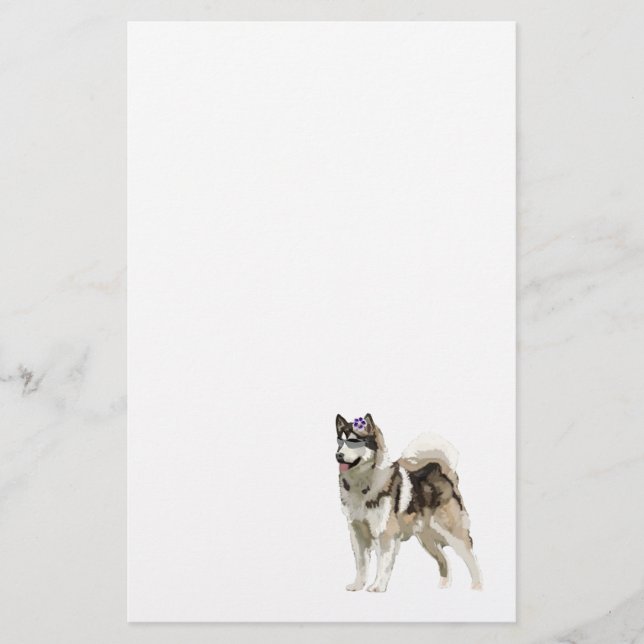 Husky Hund mit Sonnenbrille Geschirr Briefpapier (Vorderseite)