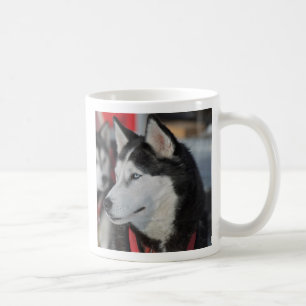 Husky Hund vor dem Rennen, Kanada Kaffeetasse
