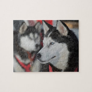 Husky-Hund vor einem Rennen, Kanada