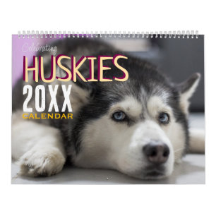 Husky-Hunde feiern - Wandkalender 2027