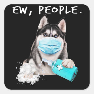 Husky-Husky-Hunde tragen ein Gesichtsmasken-Gesche Quadratischer Aufkleber