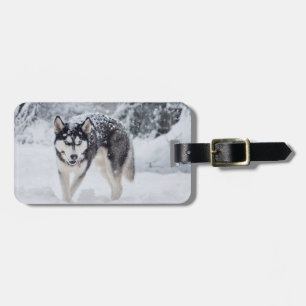 Husky im Schnee Gepäckanhänger