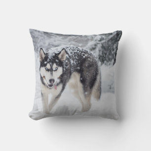 Husky im Schnee Kissen