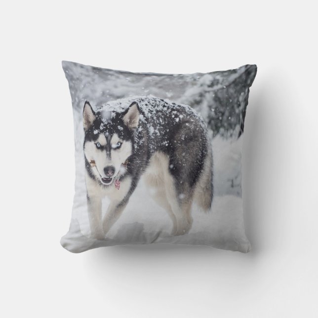 Husky im Schnee Kissen (Vorderseite)