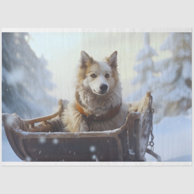 Husky in Sleigh 1 Dekoupage Paper Seidenpapier (Vorderseite)