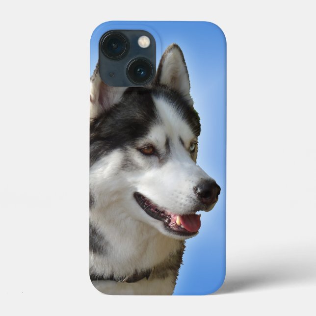 Husky iPhone 6 Fall Sibirische Husky Malamute Hüll Case-Mate iPhone Hülle (Rückseite)