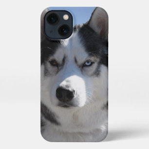 Husky iPhone Case Custom Husky Malamute Hüllen Hülle