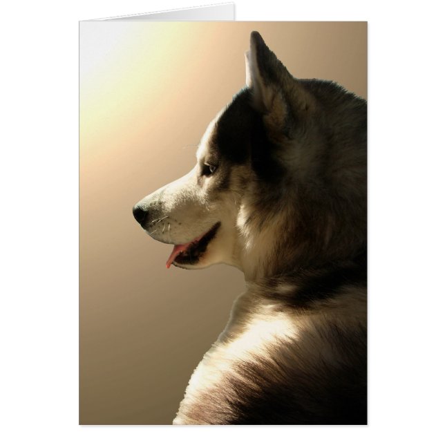 Husky-Karte/alaskischer Malamute-Karte (Vorne)