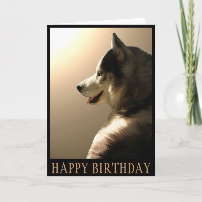 Husky-Karte/alaskischer Malamute-Karte Karte (Vorderseite)