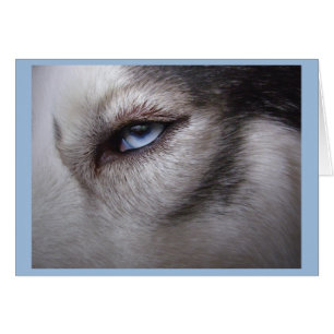 Husky-Kartealaskischer Malamute-Karte