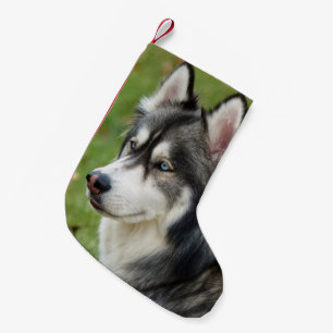 Husky Kleiner Weihnachtsstrumpf