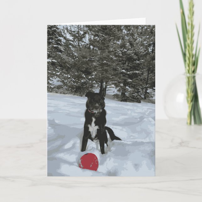Husky-Labrador-Hund sitzend schneebedeckter, roter Karte (Vorderseite)