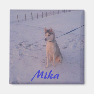 Husky.Mika.magnet Magnet