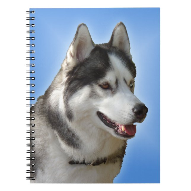 Husky Notebook Siberian Husky Gifts & Books Notizblock (Vorderseite)