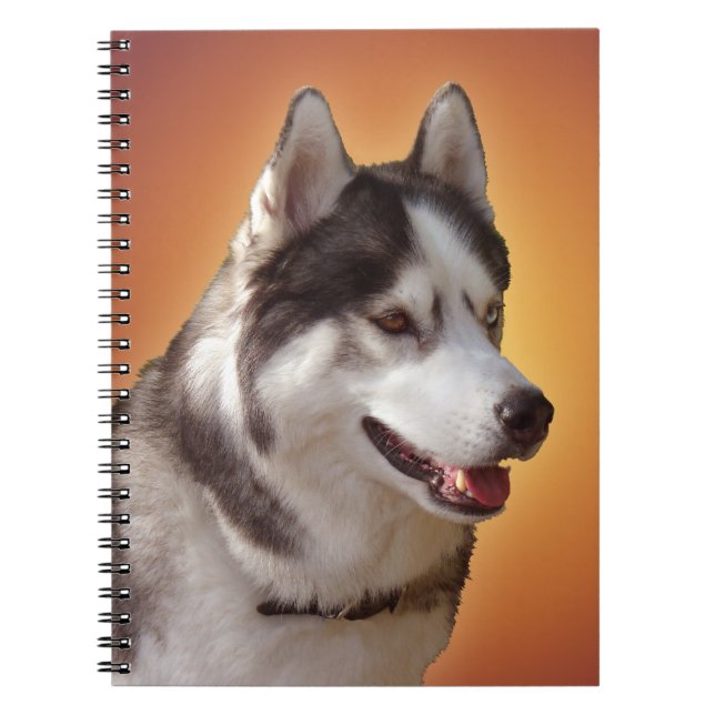 Husky Notebook Siberian Husky Gifts & Books Notizblock (Vorderseite)