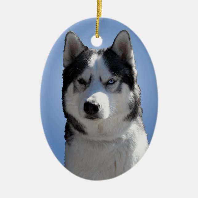 Husky Ornament Malamute Keepake Dog Geschenke (Vorne)