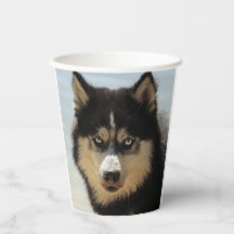 Husky