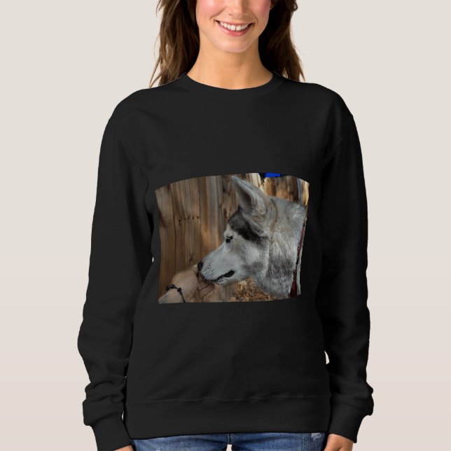 Husky Portrait Premium Sweatshirt (Vorderseite)