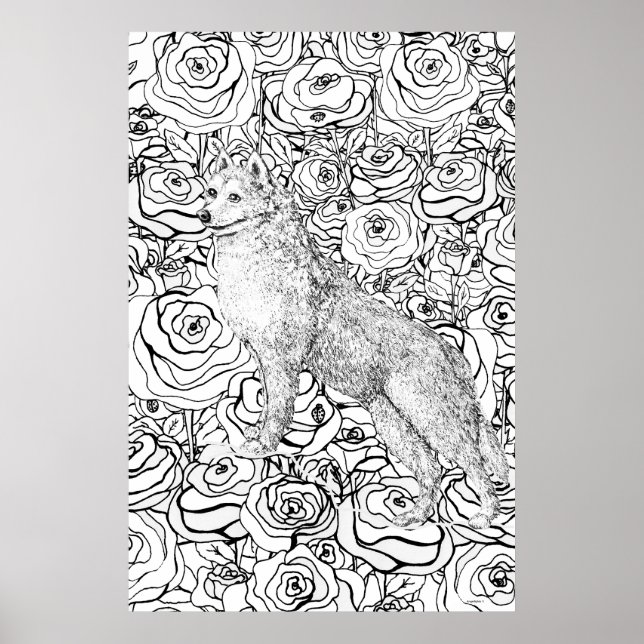Husky Poster (Vorne)
