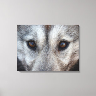 Husky Pup Print Husky Wolf Pup Canvas Print Leinwanddruck