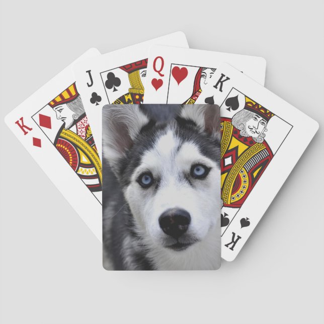 Husky Puppy Deck Karten Spielkarten (Rückseite)