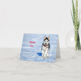 Husky Puppy Snow Foto Dankeskarte