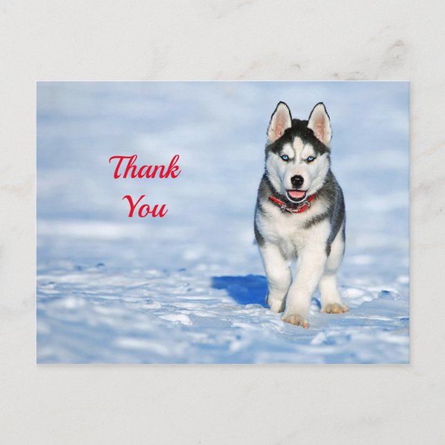 Husky Puppy Snow Foto Vielen Dank Postkarte (Vorderseite)