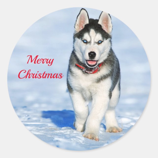 Husky Puppy Snow Foto Weihnachten Runder Aufkleber (Vorderseite)