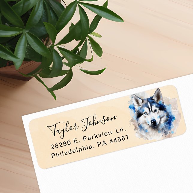Husky-Rücksendeadresse (Von Creator hochgeladen)