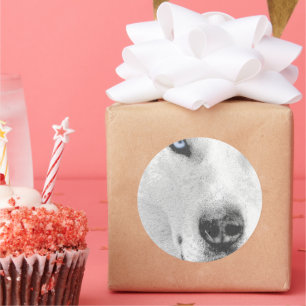 Husky Runder Aufkleber