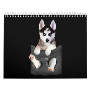 Husky  Siberischer Husky in Pocket Puppy Kalender